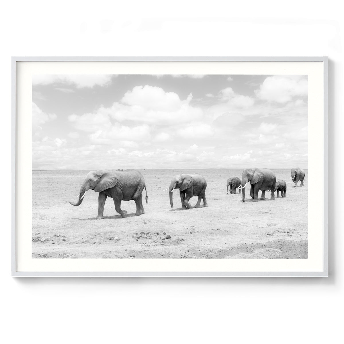 Pilgrimage - Kenya, Africa