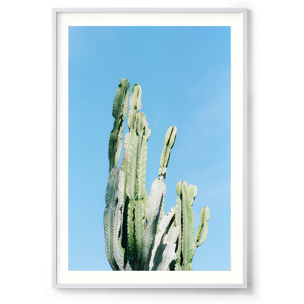 Prickles