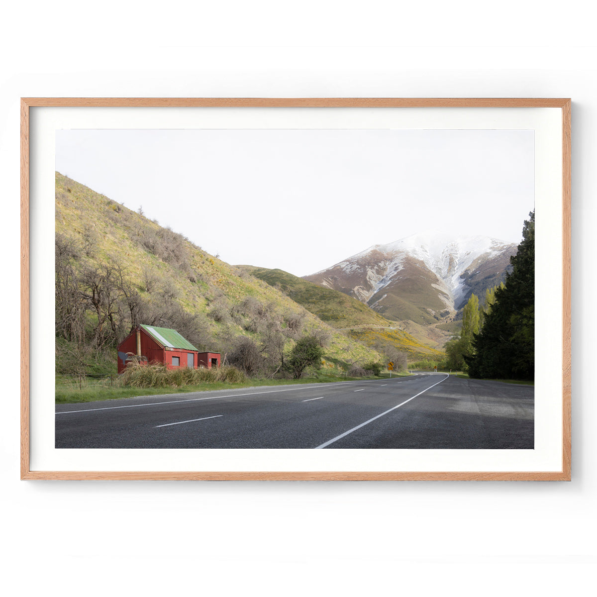 Roadside - South Island, New Zealand