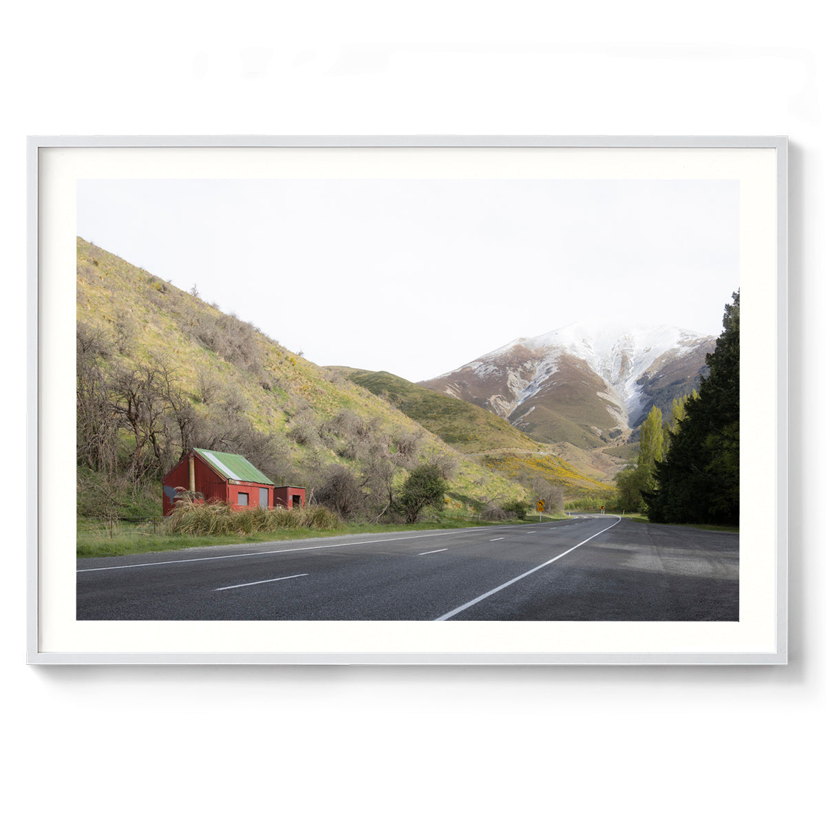 Roadside - South Island, New Zealand