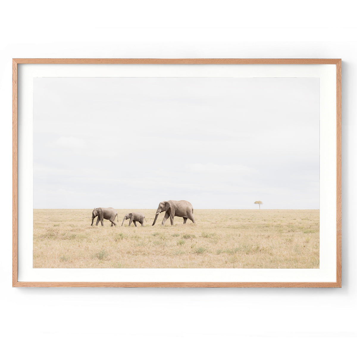 Slow March - Kenya, Africa