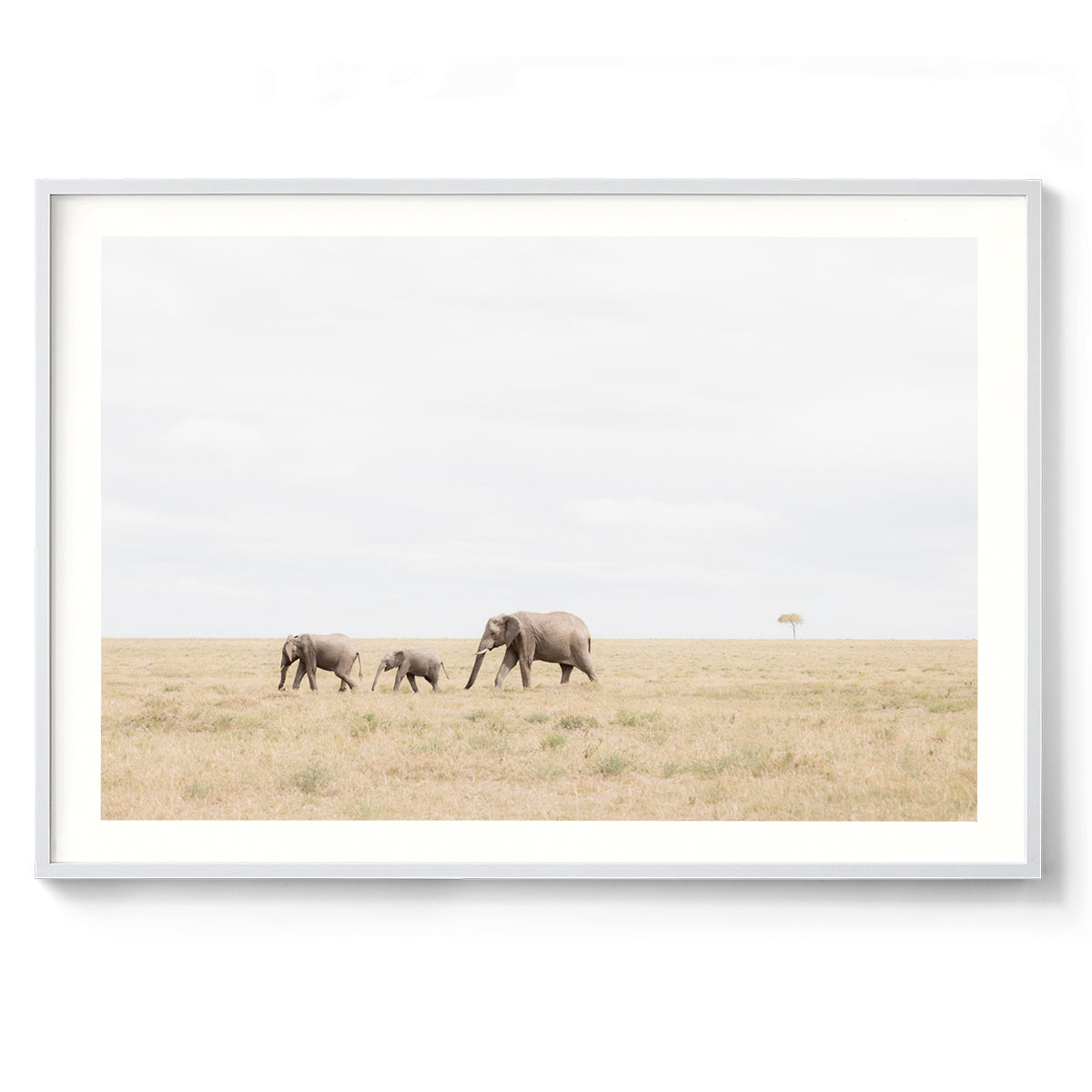 Slow March - Kenya, Africa