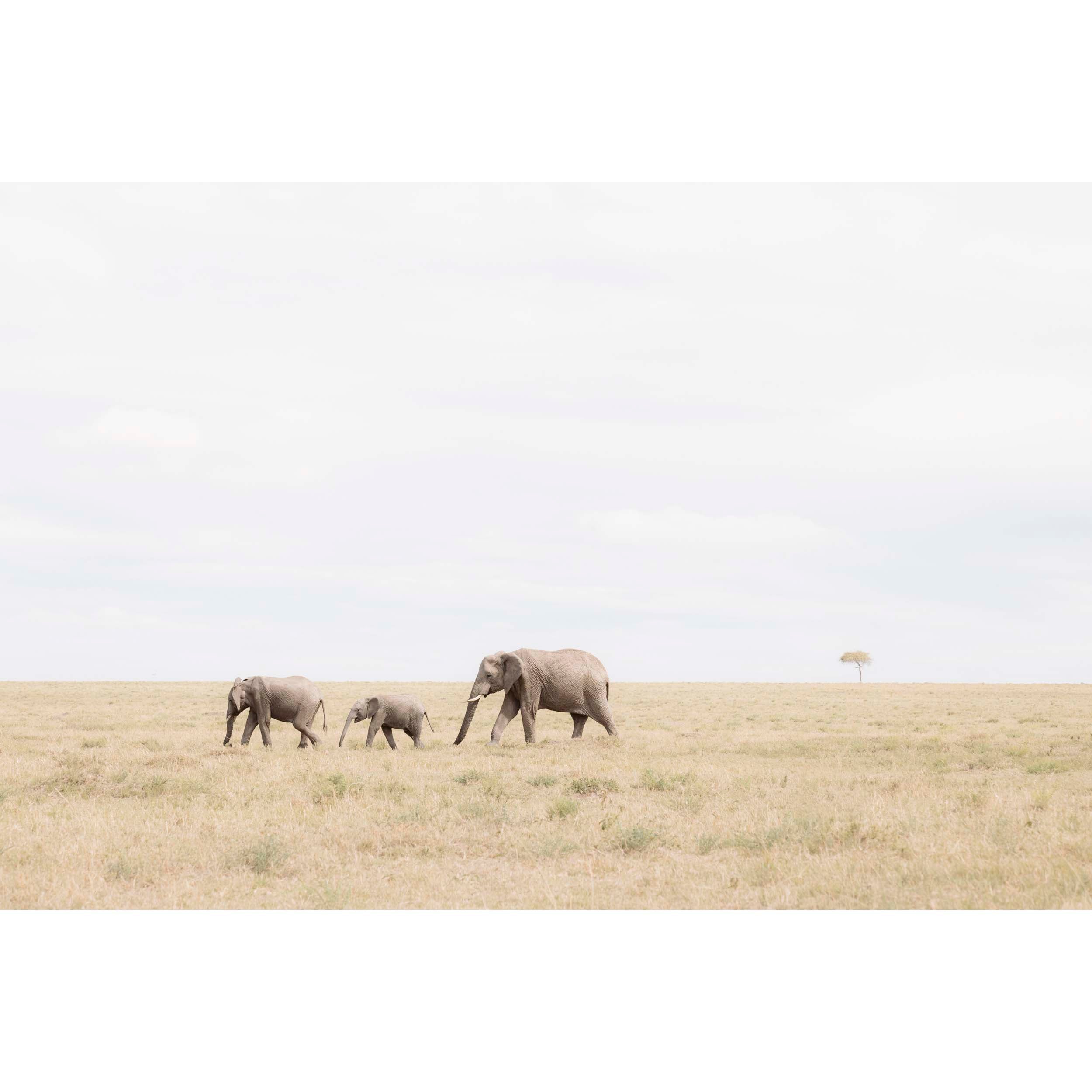 SLOW MARCH - Kenya, Africa