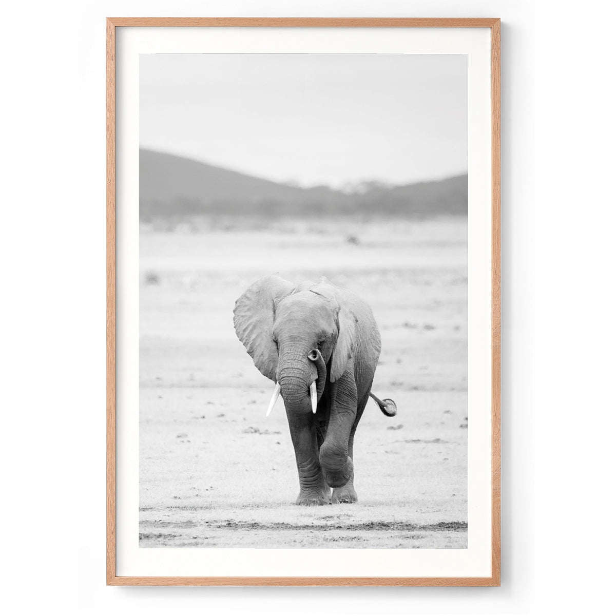 Trunk & Tusk - Kenya, Africa