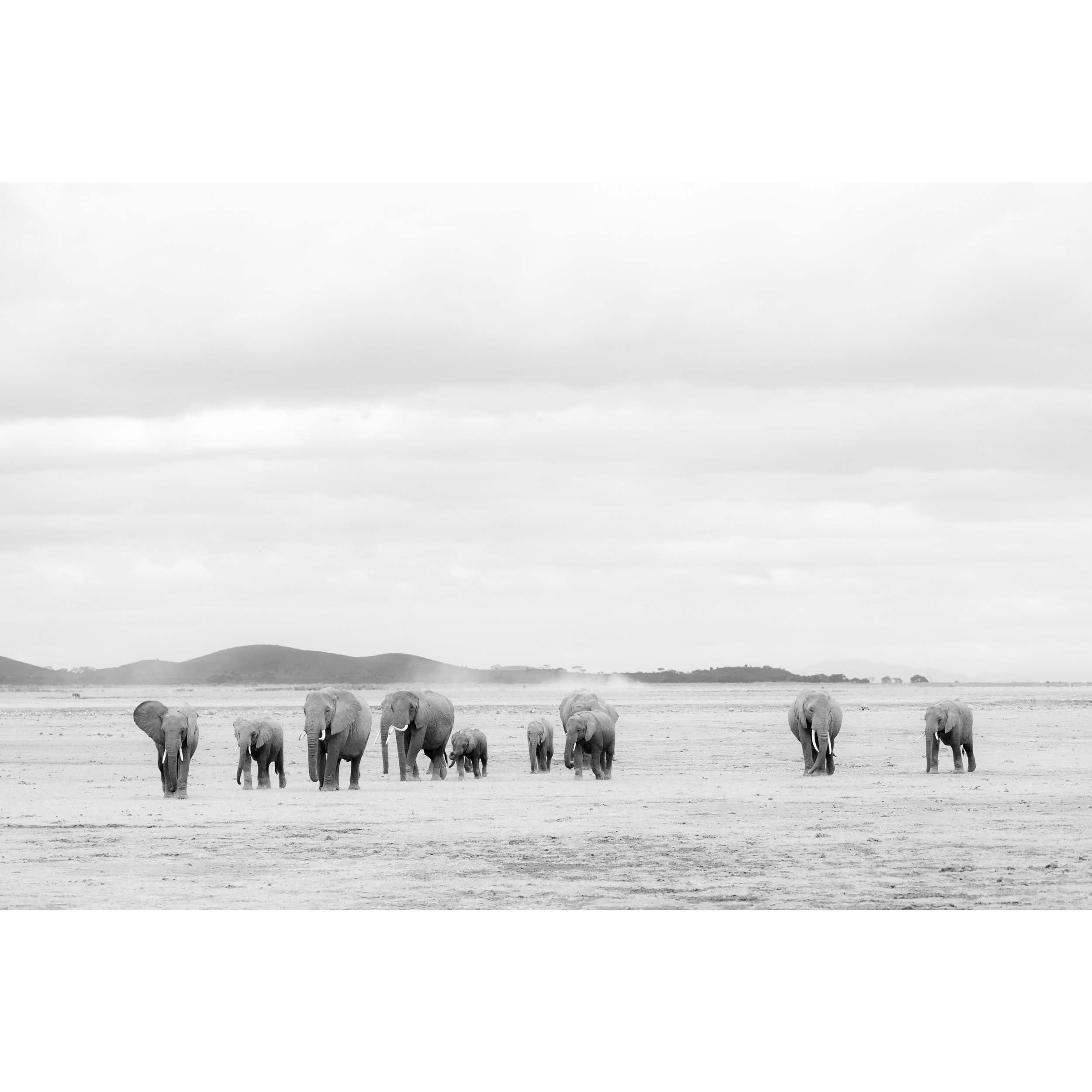 Trunk Show - Kenya, Africa