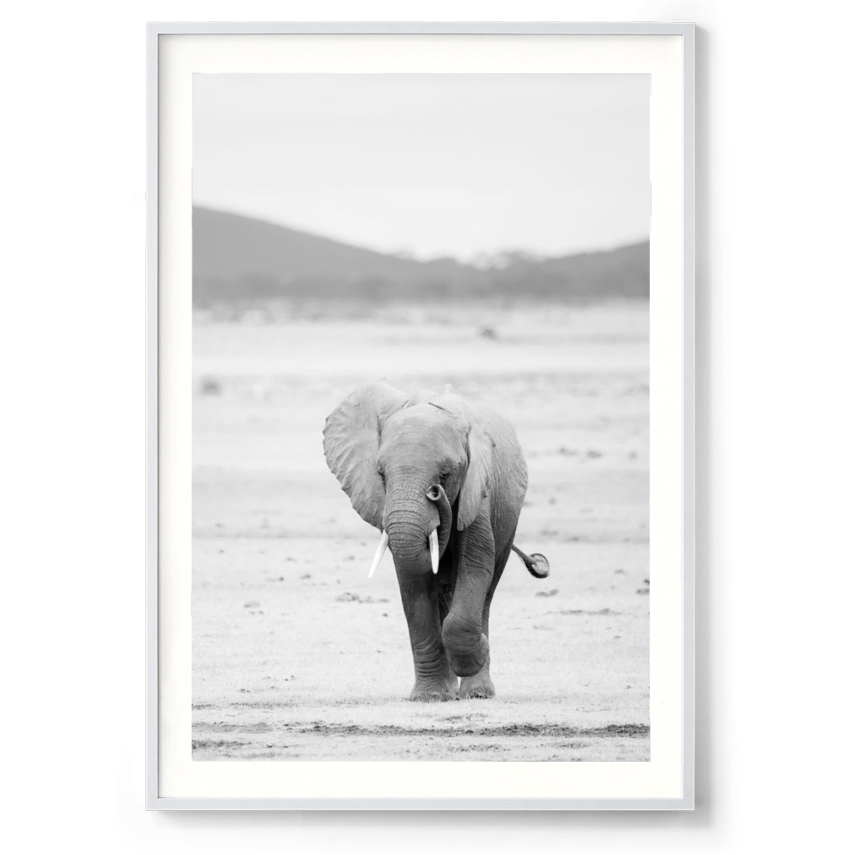 Trunk & Tusk - Kenya, Africa