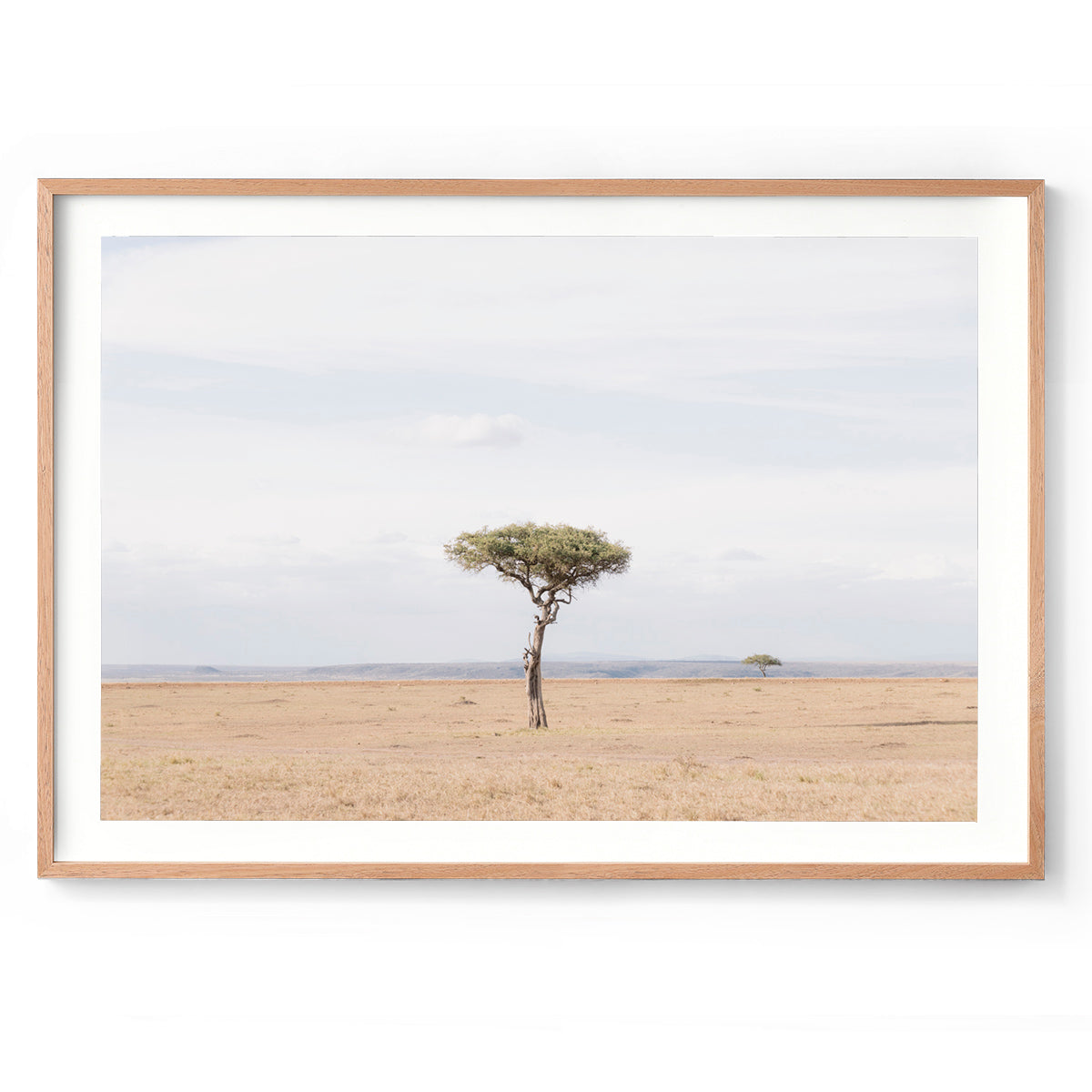 Umbrella - Kenya, Africa