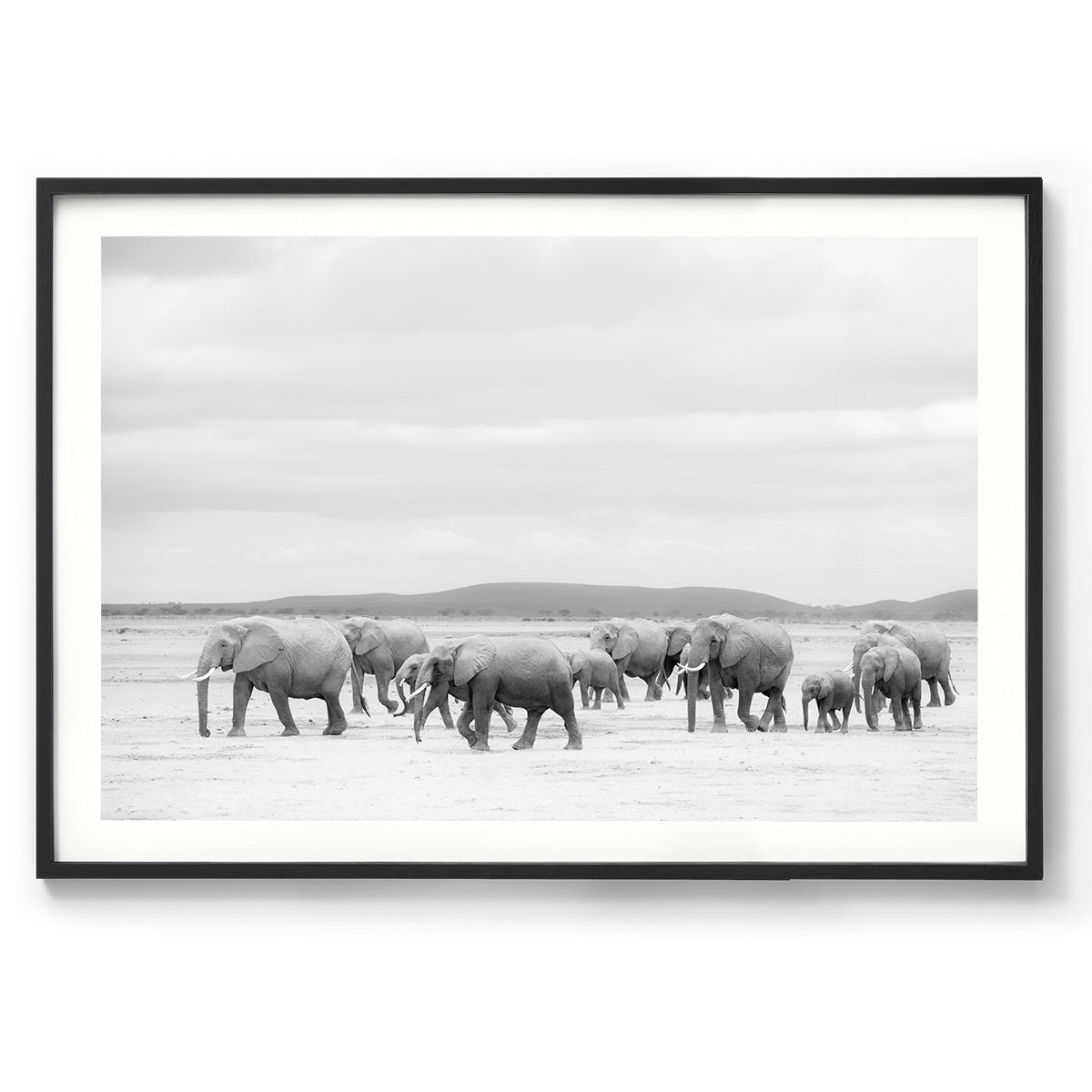 Horizontal black and white photo of a herd of elephants walking across the savannah in Kenya. Fine art photography prints, available framed in black, white or oak.