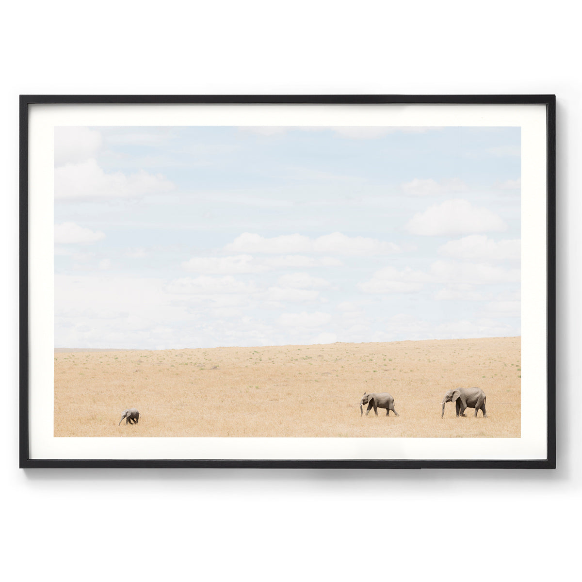 Follow the Leader - Kenya, Africa