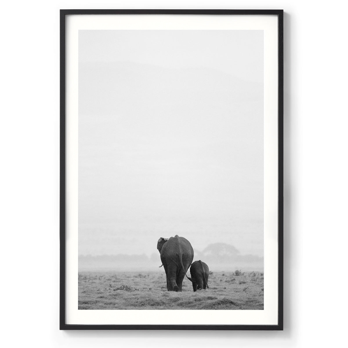 Into the Wild - Kenya, Africa