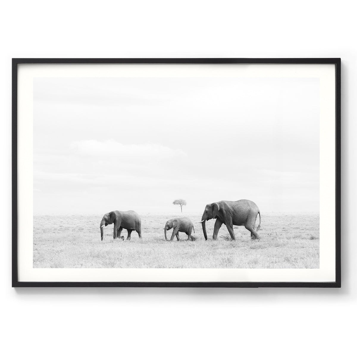 Rhythm of Life - Kenya, Africa