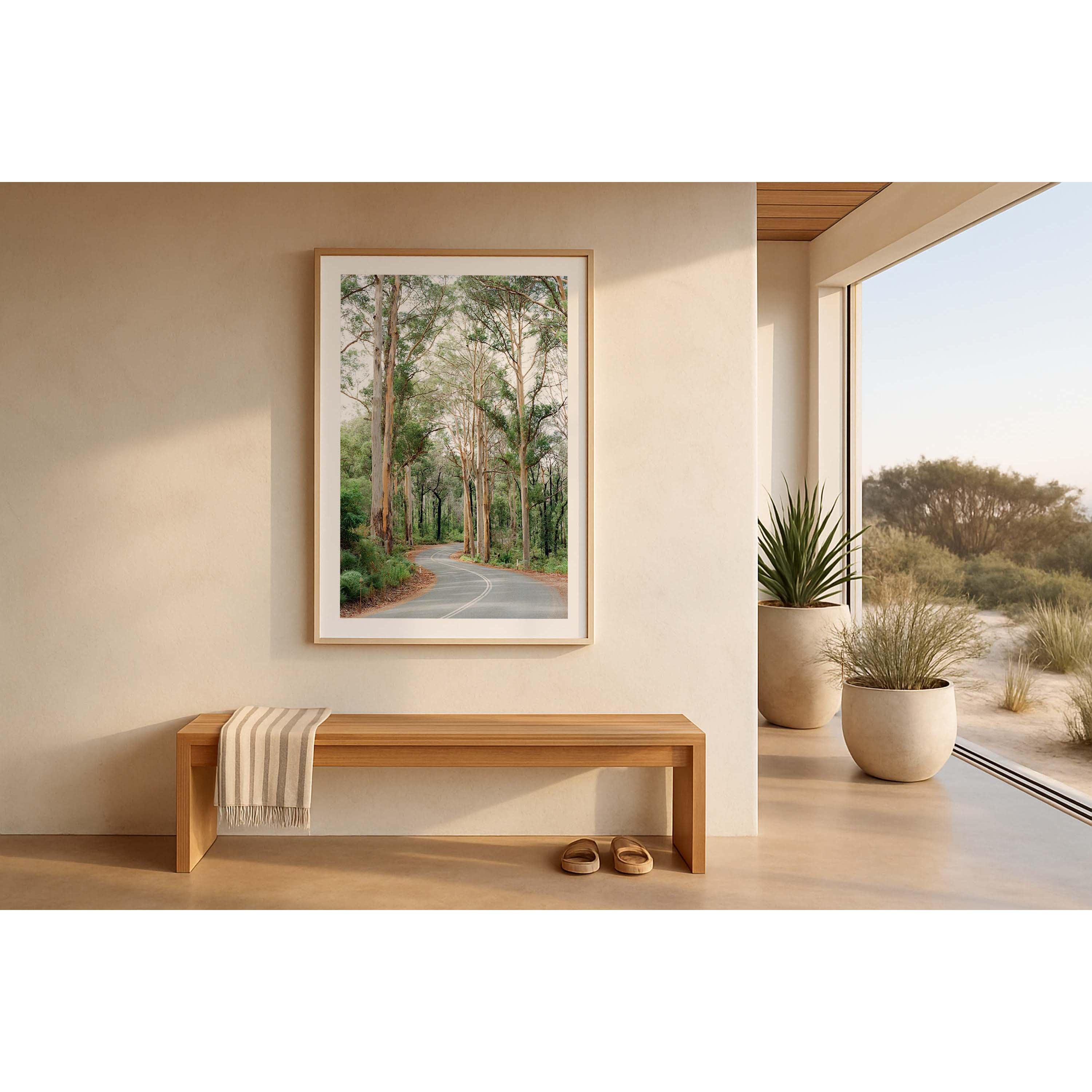 Framed photo of the winding road through Boranup Forest in the Margaret River region of Western Australia. The karri trees stretch tall either side of the road. Shot on film with soft colours. Fine art photography prints, available framed in black, white or oak.
