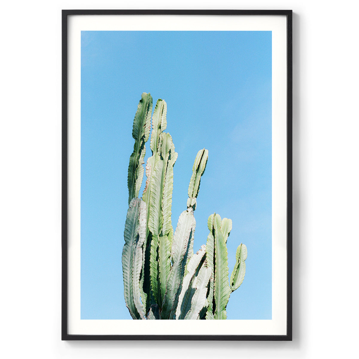 Prickles