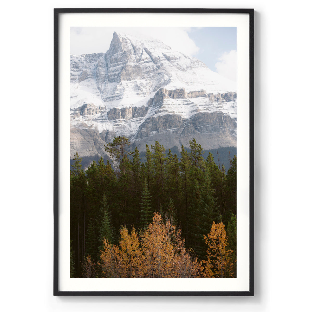 Nature's Palette - Rocky Mountains, Canada