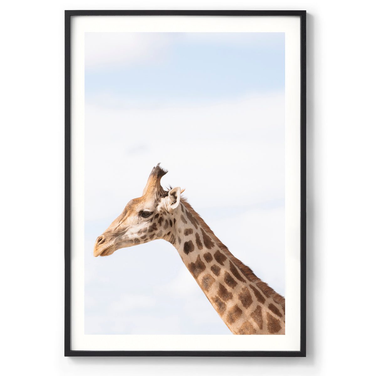 Head in the Clouds - Kenya, Africa