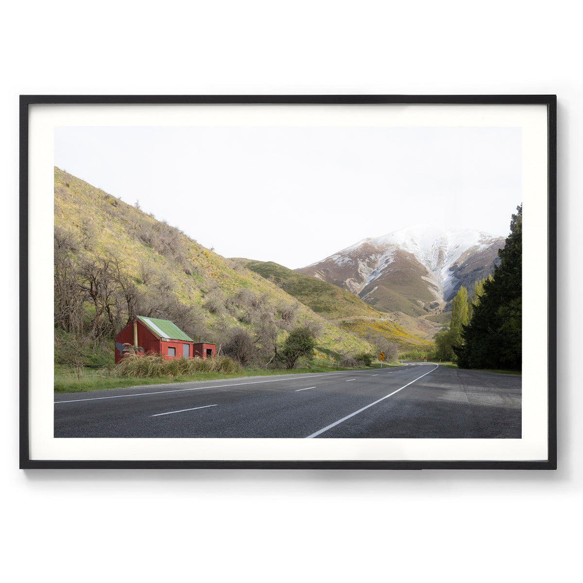 Roadside - South Island, New Zealand