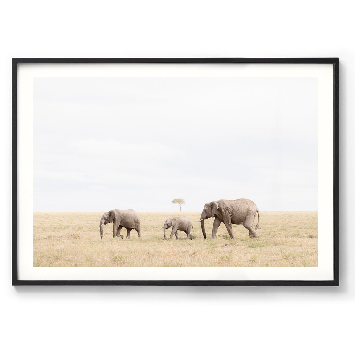 Family Ties - Kenya, Africa