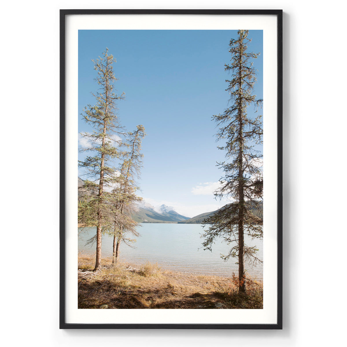 Spring Has Sprung - Rocky Mountains, Canada
