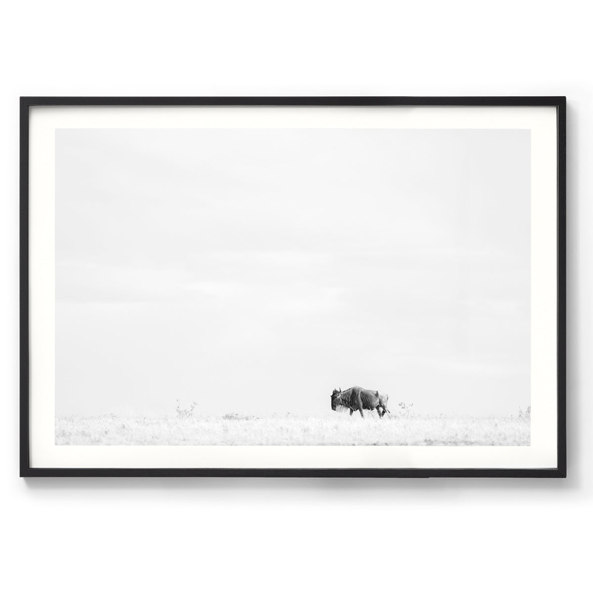 Lone Wanderer - Kenya, Africa